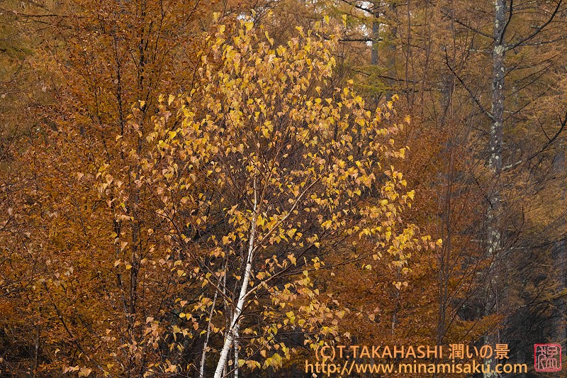 ../Images/7R251109 (66).jpg